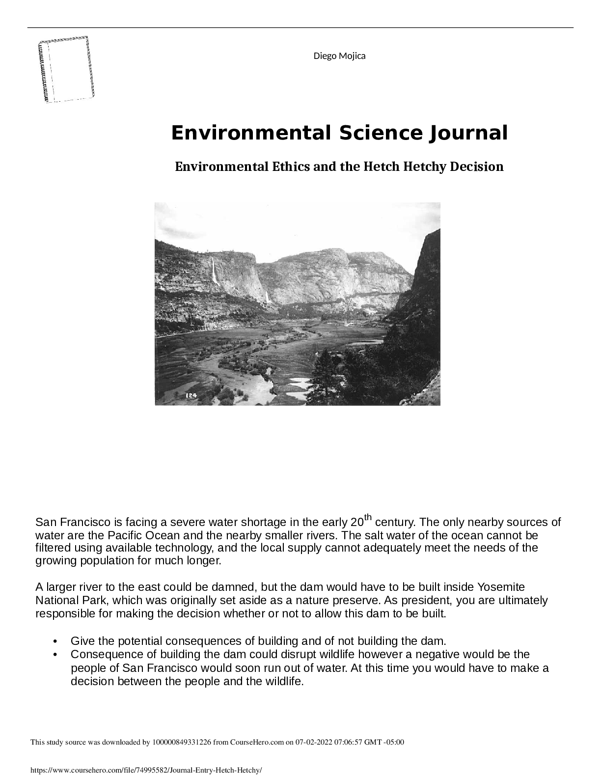 document-preview